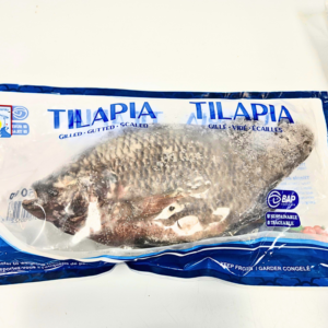 Tilapia